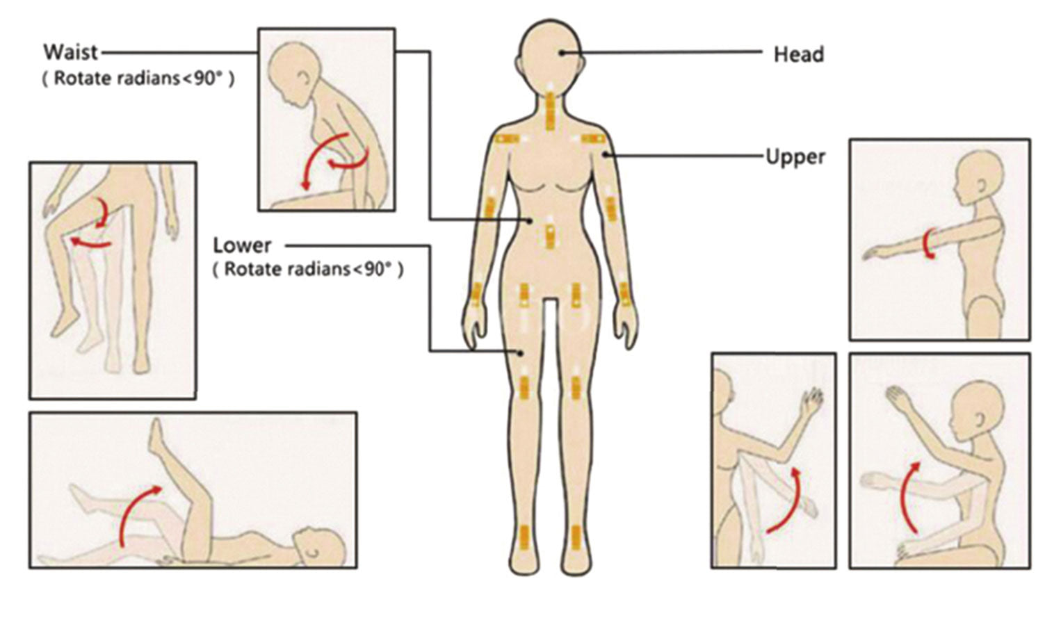 User Manual: Safety Requirements, Cleaning, and Skeleton Guidance for Your Love Doll